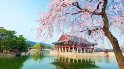 Insidersguidetoseoul2e16d0bafill1200x600